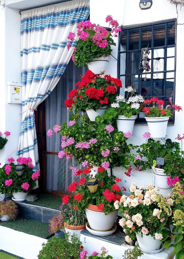 그라나다 Casa Alhambra - Centro Historico Con Jardin Privado 아파트 외부 사진