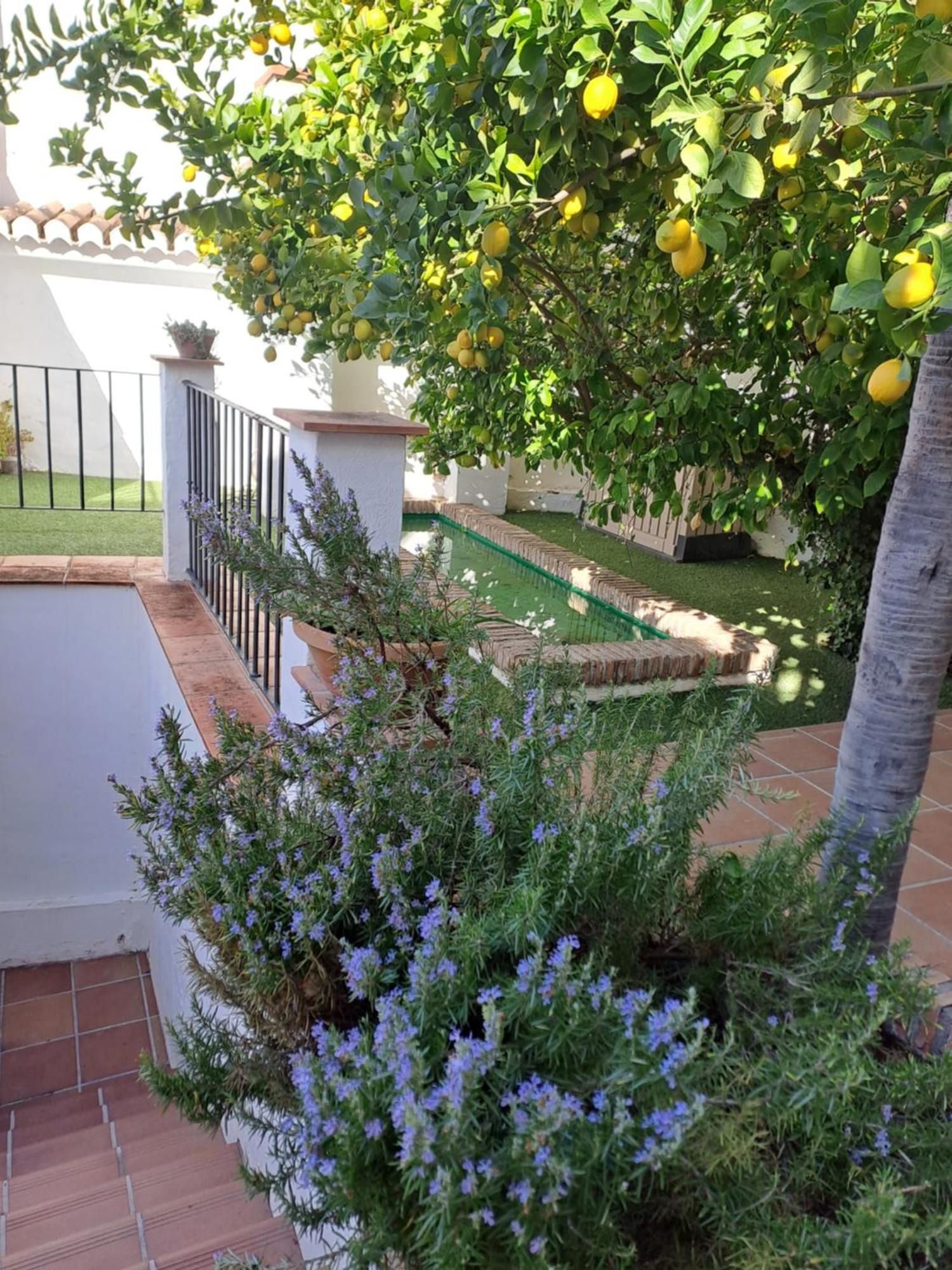 그라나다 Casa Alhambra - Centro Historico Con Jardin Privado 아파트 외부 사진